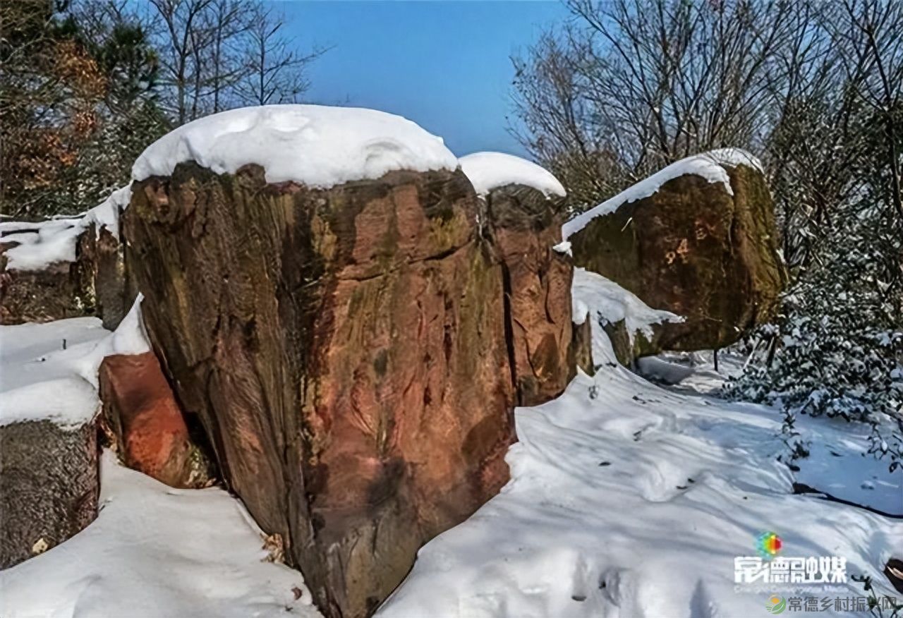 【走进临澧】他用镜头记录了太浮山的春夏秋冬...(图31)