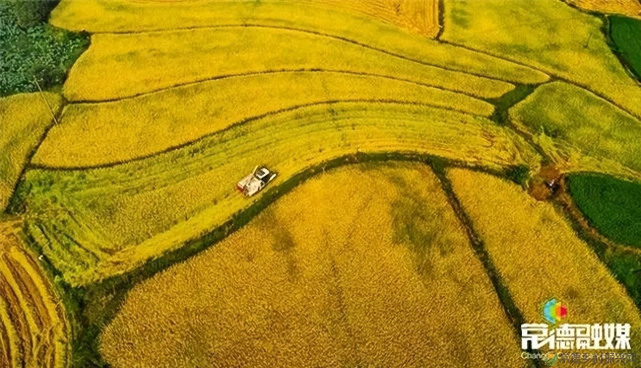 【走进临澧】他用镜头记录了太浮山的春夏秋冬...(图34)