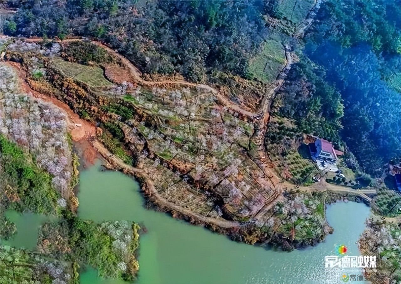 【走进临澧】他用镜头记录了太浮山的春夏秋冬...(图33)