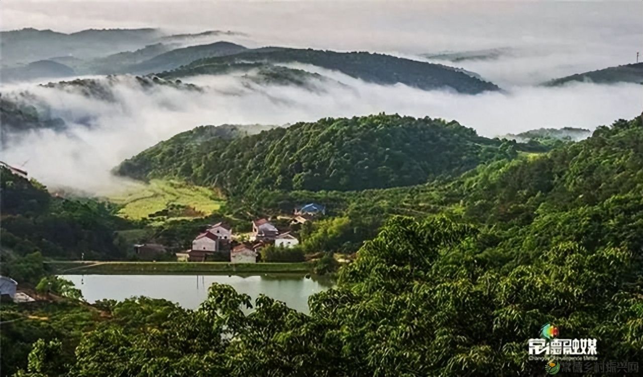 【走进临澧】他用镜头记录了太浮山的春夏秋冬...(图36)