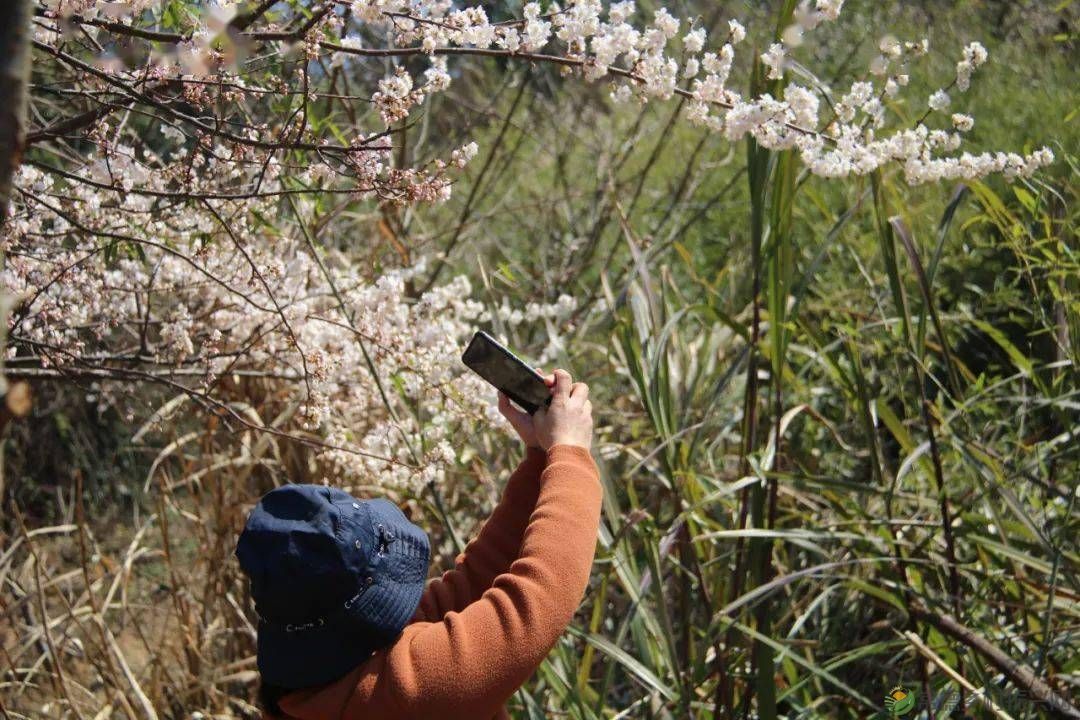 【走进临澧】很多人都说这里很美,不信你亲自走一趟......(图6) 【走进临澧】很多人都说这里很美,不信你亲自走一趟......(图6)