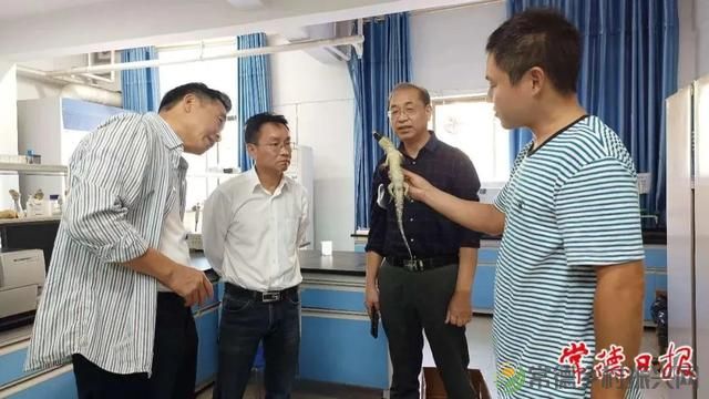 常德沅江里的鳄鱼抓到了！相关部门：外来物种请不要随意放生(图2)