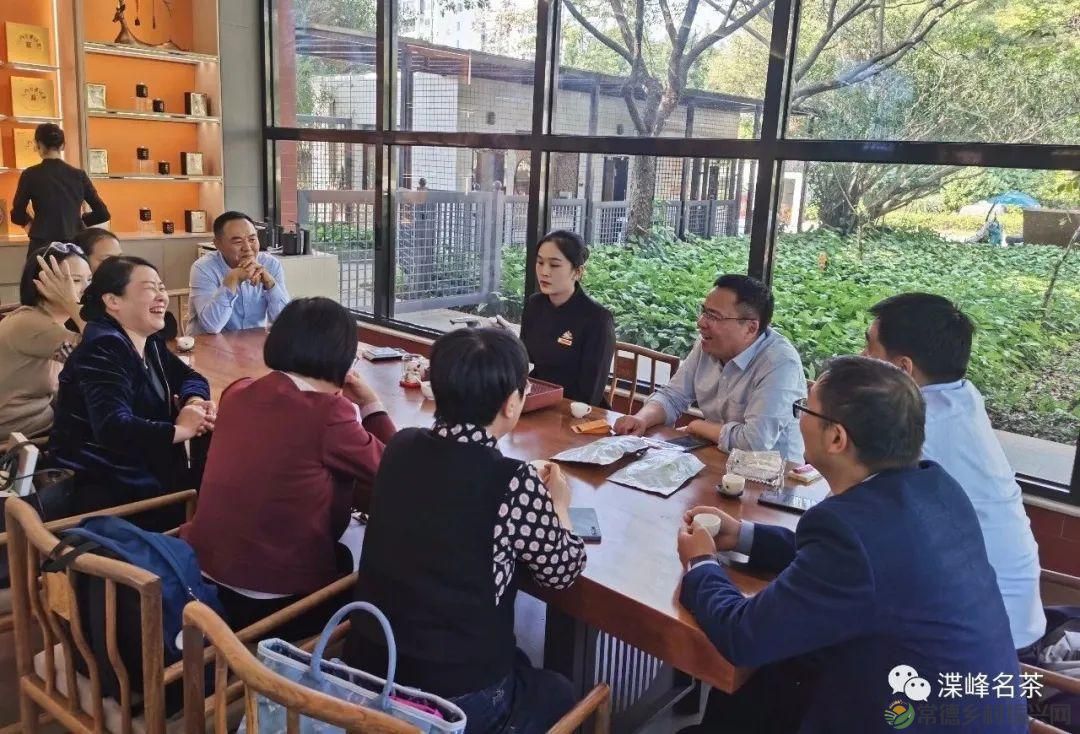石门县茶叶产业协会赴福建学习考察,助推茶产业高质量发展(图4) 石门县茶叶产业协会赴福建学习考察,助推茶产业高质量发展(图4)