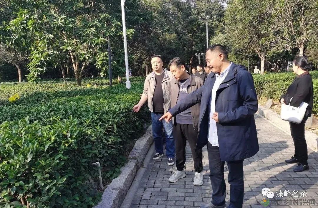 石门县茶叶产业协会赴福建学习考察,助推茶产业高质量发展(图8) 石门县茶叶产业协会赴福建学习考察,助推茶产业高质量发展(图8)