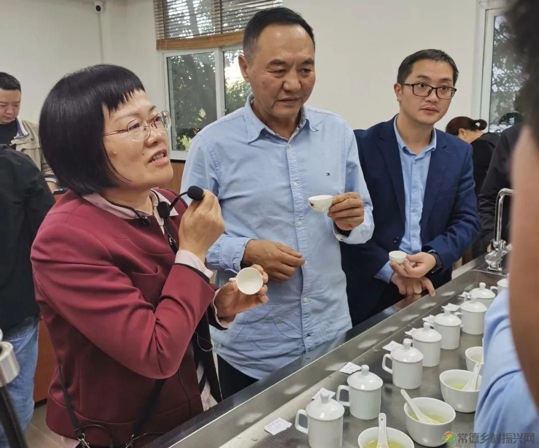 石门县茶叶产业协会赴福建学习考察,助推茶产业高质量发展(图9) 石门县茶叶产业协会赴福建学习考察,助推茶产业高质量发展(图9)