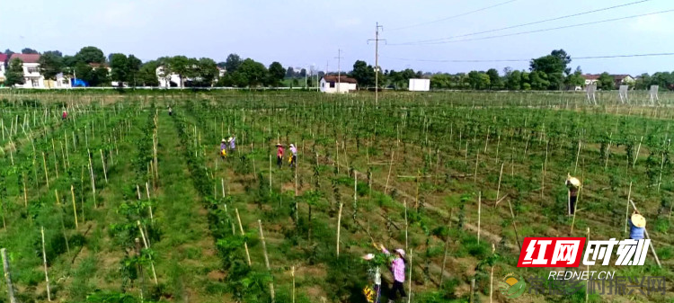 暴风截图20209312922108_副本.jpg 暴风截图20209312922108_副本.jpg