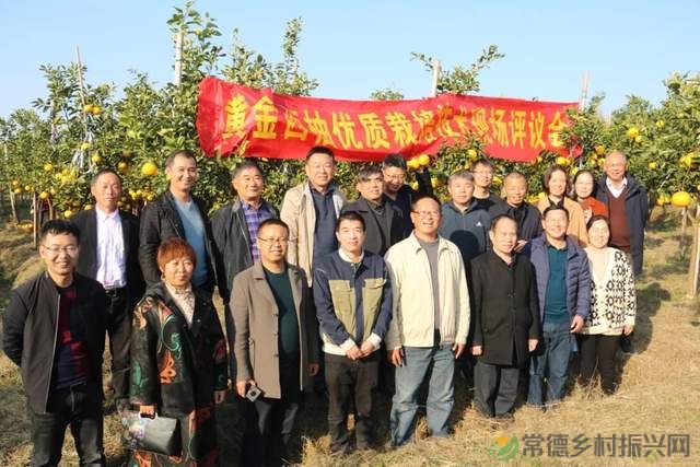 “柚”惑十足,澧县黄金西柚俏枝头(图15) “柚”惑十足,澧县黄金西柚俏枝头(图15)