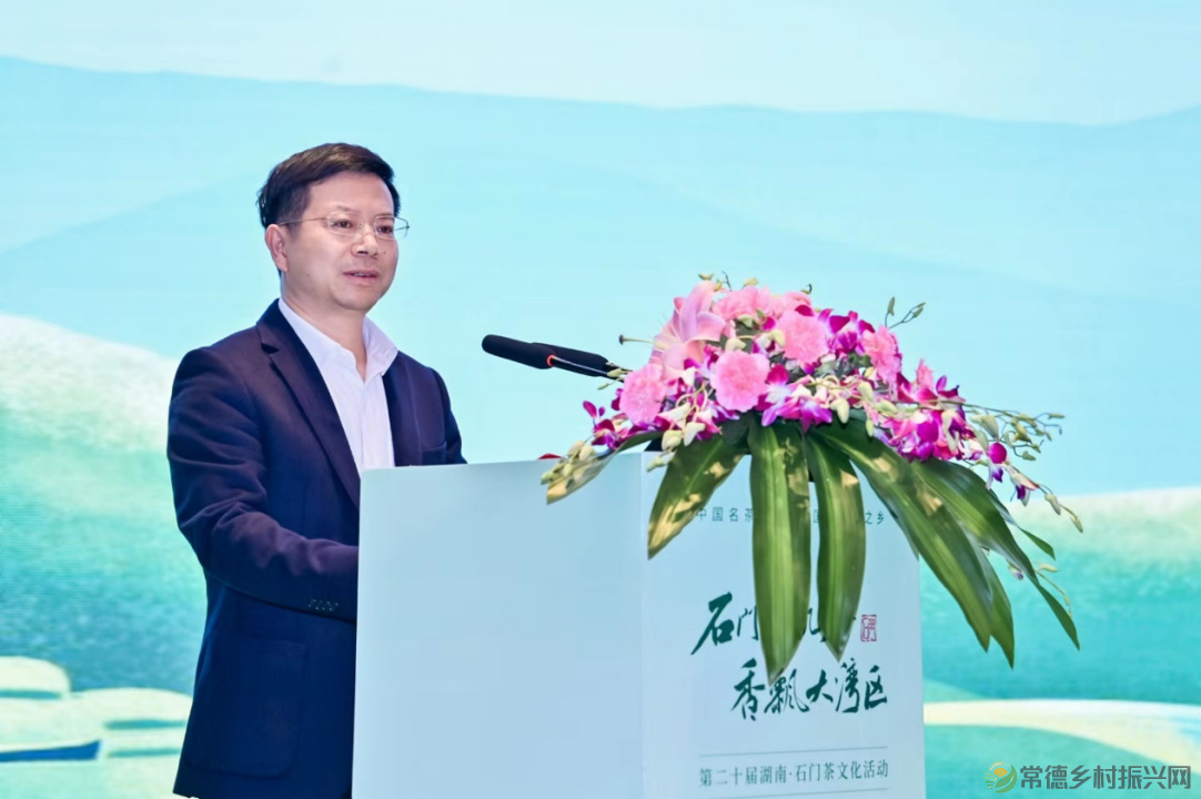 石门好茶好故事 第二十届湖南石门茶文化活动深圳推介会举办(图2) 石门好茶好故事 第二十届湖南石门茶文化活动深圳推介会举办(图2)