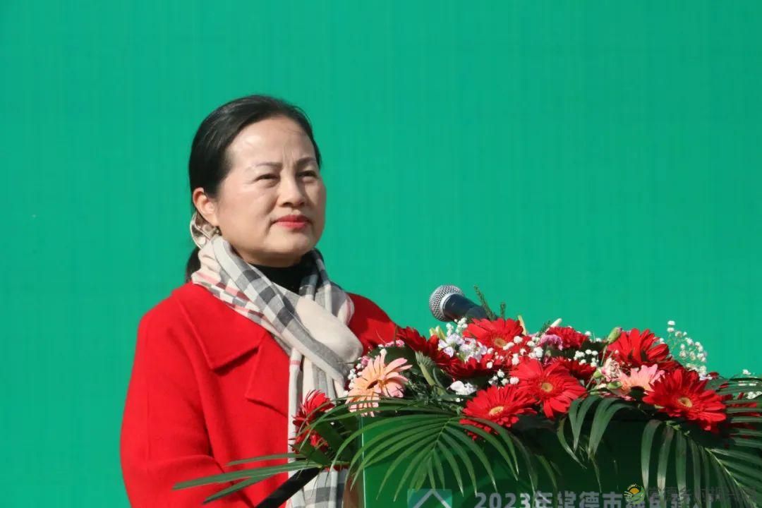 2023年常德市绿色建材下乡活动（第二阶段）对接会在亿都国际举行(图5)