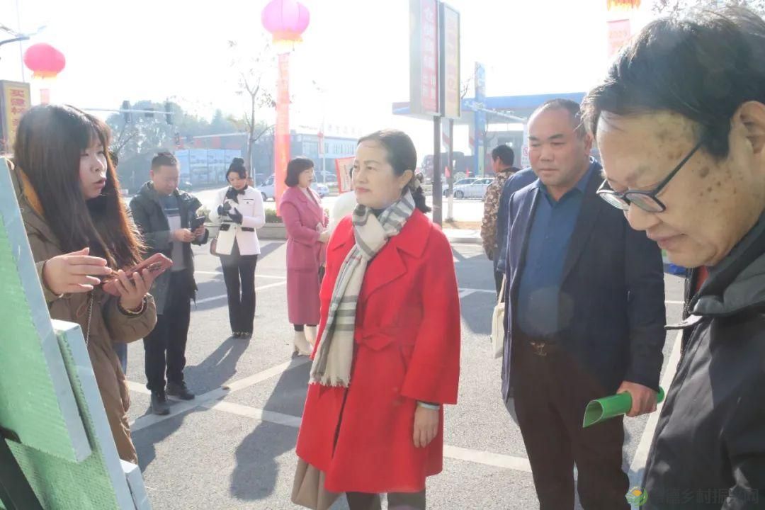 2023年常德市绿色建材下乡活动（第二阶段）对接会在亿都国际举行(图12)