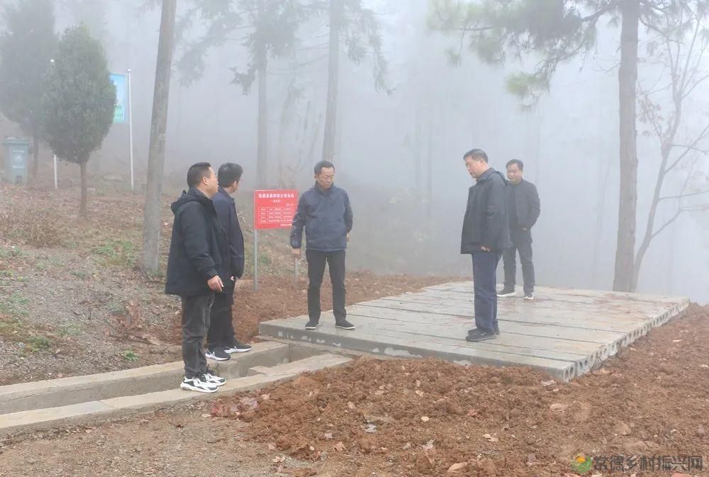 【常德林业】市林业局开展森林防火、油茶产业调研(图2) 【常德林业】市林业局开展森林防火、油茶产业调研(图2)