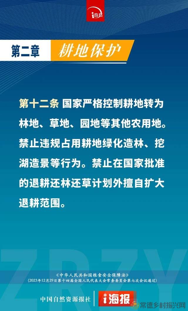 【百姓关注】关于耕地保护,最新公布的粮食安全保障法这样规定(图3) 【百姓关注】关于耕地保护,最新公布的粮食安全保障法这样规定(图3)