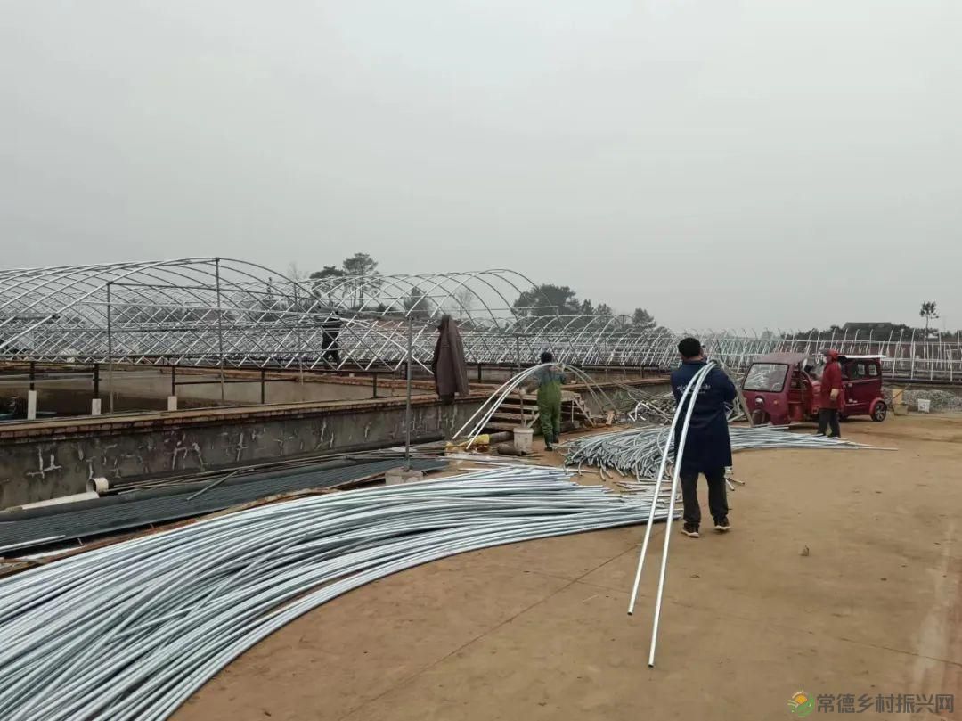 【牧渔常德】市畜牧水产事务中心指导水产养殖企业灾后复工复产(图2) 【牧渔常德】市畜牧水产事务中心指导水产养殖企业灾后复工复产(图2)