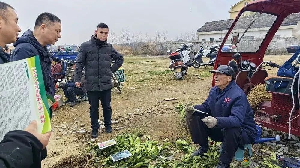 常德市林业局开展《中华人民共和国种子法》普法宣传活动(图2)