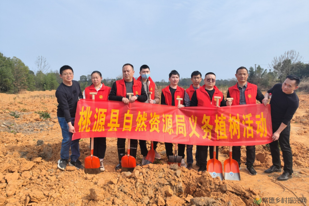 植此青绿 不负自然——常德市自然资源规划系统开展植树活动(图3)