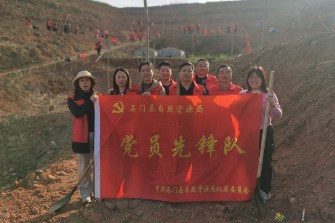 植此青绿 不负自然——常德市自然资源规划系统开展植树活动(图6)