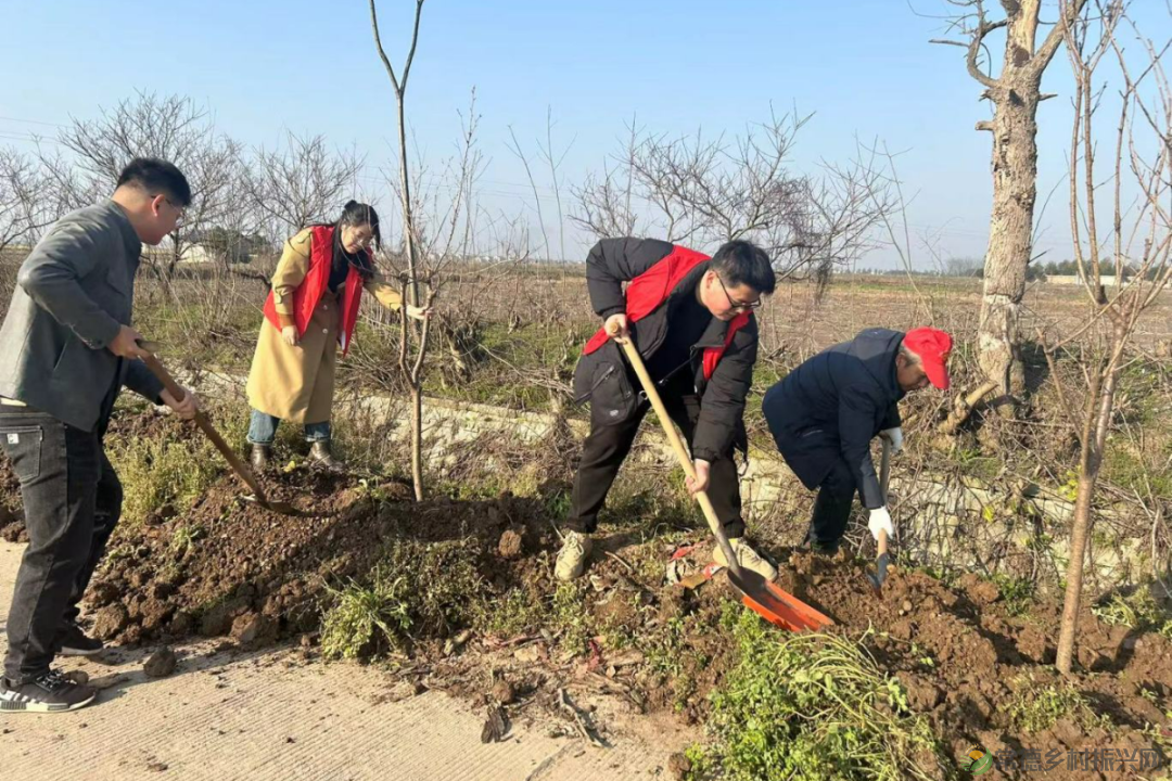植此青绿 不负自然——常德市自然资源规划系统开展植树活动(图9)
