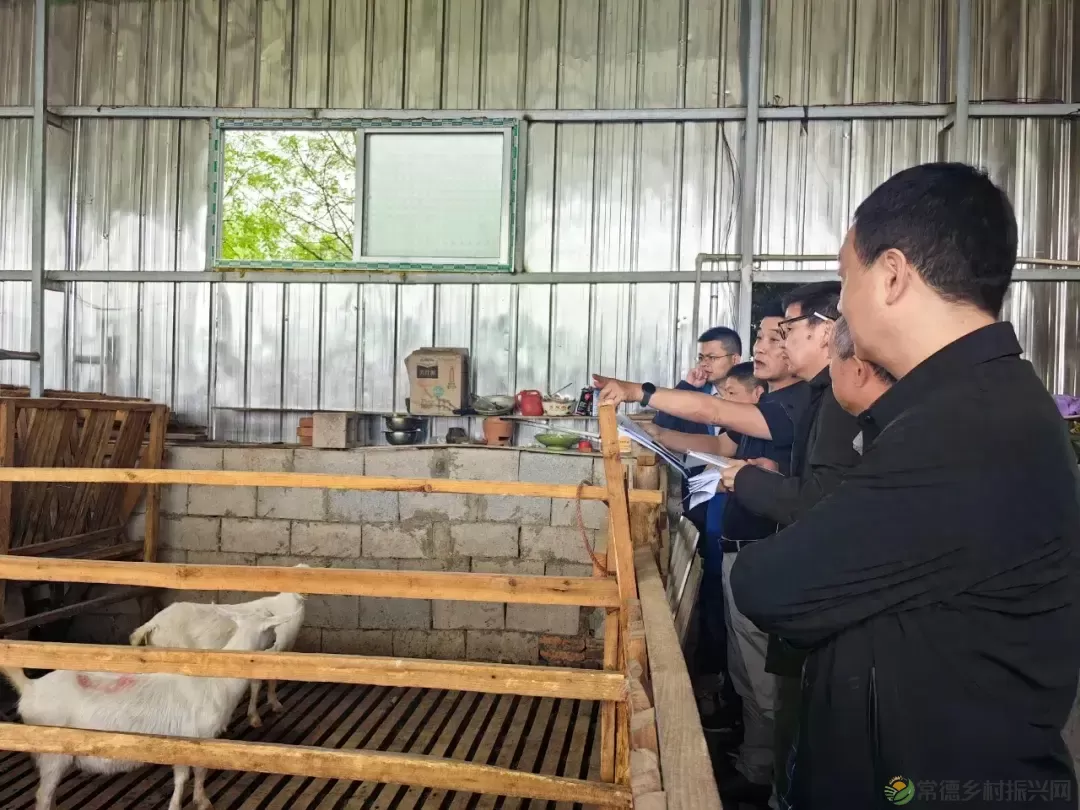 省评审专家组来我市开展畜禽种质资源保护绩效评价和验收工作