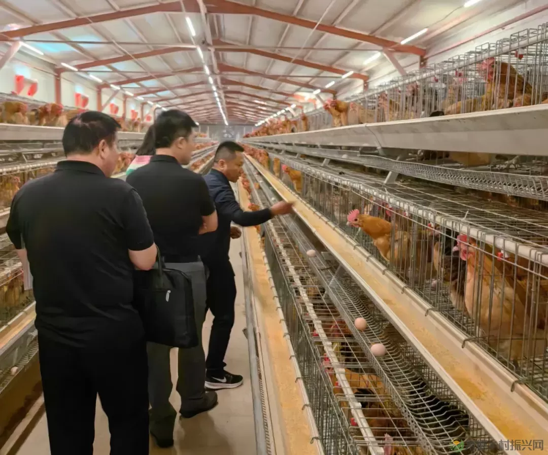 省评审专家组来我市开展畜禽种质资源保护绩效评价和验收工作(图2) 省评审专家组来我市开展畜禽种质资源保护绩效评价和验收工作(图2)