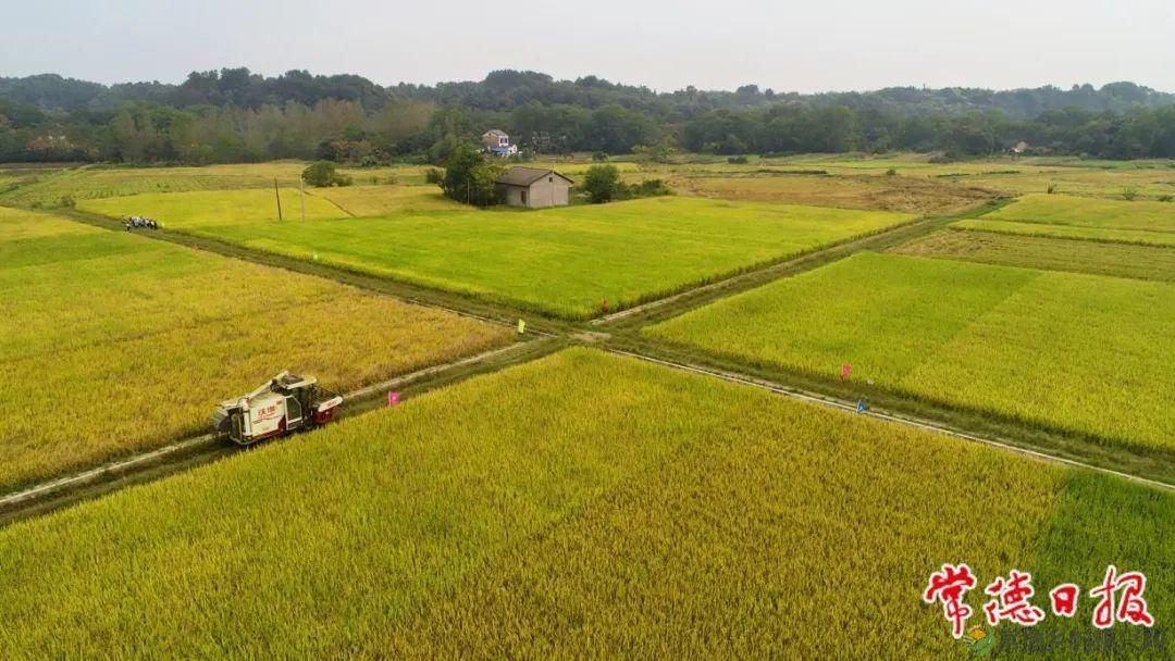 《常德市国土空间总体规划(2021—2035年)》的五个关键词①: “多规合一”,探寻城市空间的最大公约数(图3) 《常德市国土空间总体规划(2021—2035年)》的五个关键词①: “多规合一”,探寻城市空间的最大公约数(图3)