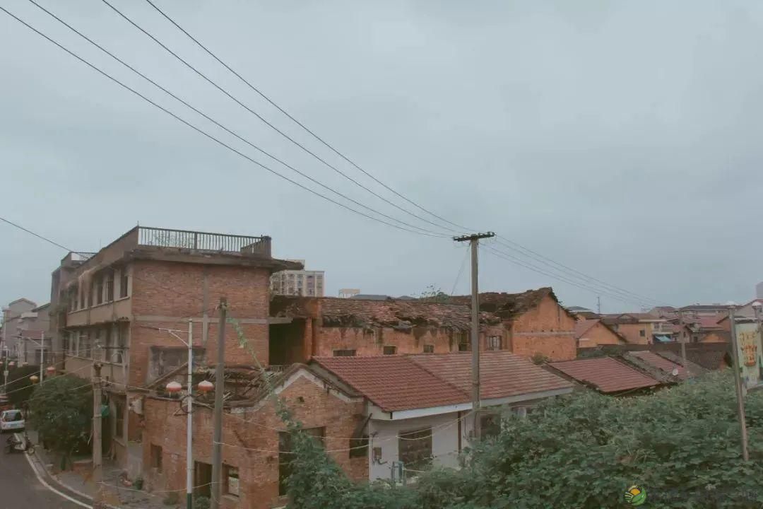 寻味桃源 食在陬市—桃源县陬市镇首届美食文化节即将启幕(图5) 寻味桃源 食在陬市—桃源县陬市镇首届美食文化节即将启幕(图5)