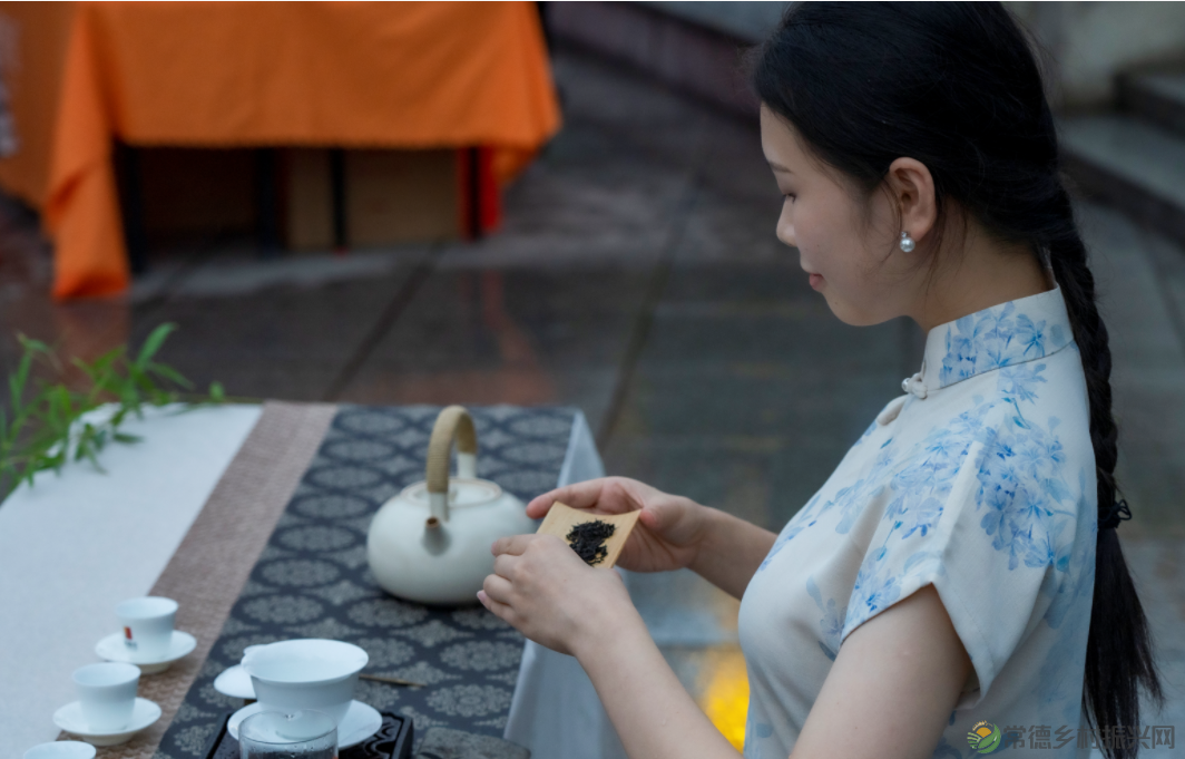 三茶统筹引领 文化舞动兴茶丨常德2024茶文化宣传推广年活动启动(图12) 11.png