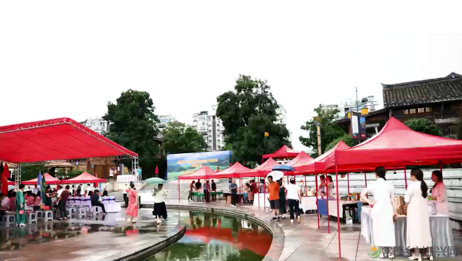 三茶统筹引领 文化舞动兴茶丨常德2024茶文化宣传推广年活动启动(图15) 14.png