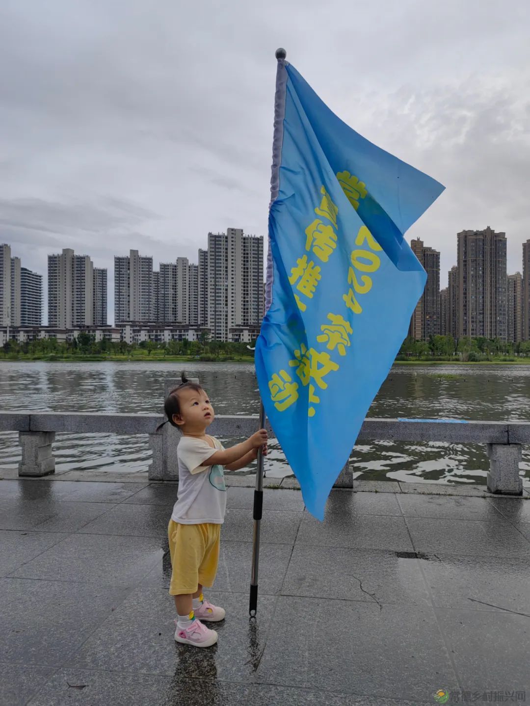 三茶统筹引领 文化舞动兴茶丨常德2024茶文化宣传推广年活动启动(图29) 27.jpg