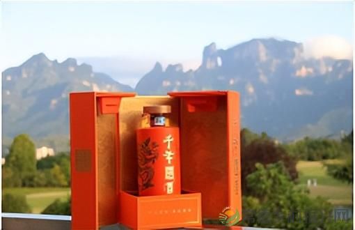 品“千年国”酒 打快乐高球——张家界高尔夫第三届“千年国酒杯”邀请赛圆满收官(图38) 品“千年国”酒 打快乐高球——张家界高尔夫第三届“千年国酒杯”邀请赛圆满收官(图38)