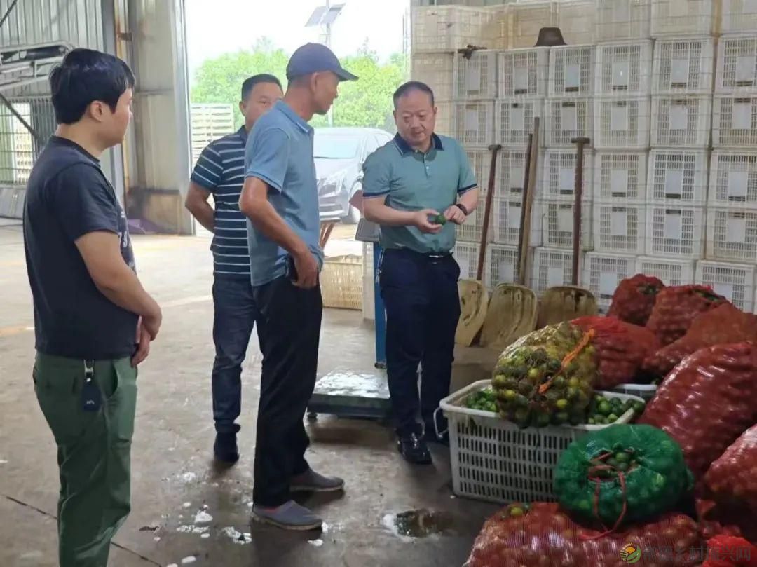 常德市供销系统:全力抗洪救灾 助力农业生产(图2) 常德市供销系统:全力抗洪救灾 助力农业生产(图2)