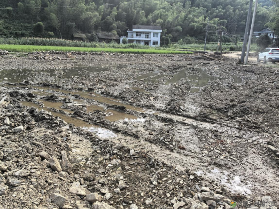常德市自然资源和规划局指导受灾严重地区推进灾毁耕地修复工作(图2)