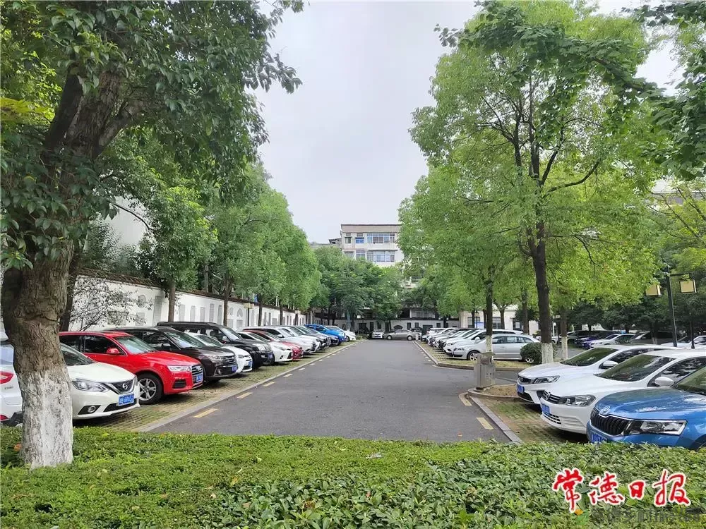 “七张民生名片”背后的幸福密码(图4) “七张民生名片”背后的幸福密码(图4)