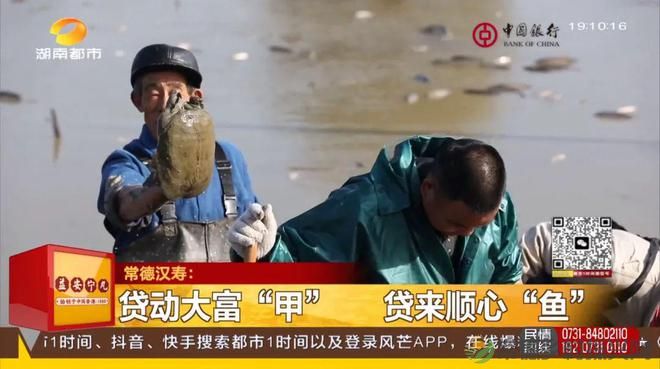 他们出手！湖南这一地迎来新机遇！