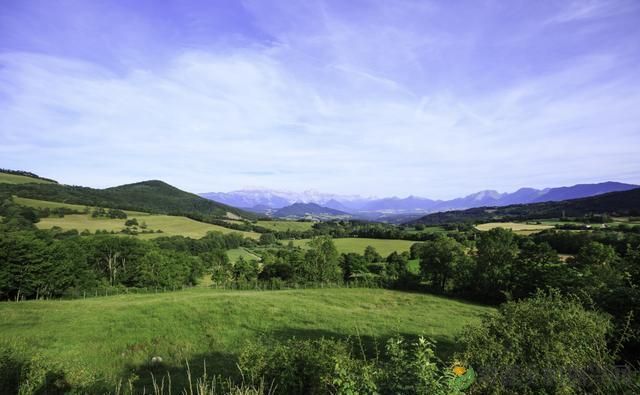 2024年高标准农田补贴确定，每亩补贴2400元及三大利好