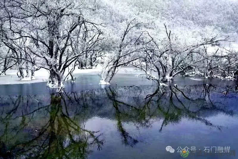 重磅!这里风光最太平 2024第二届石门太平高山草场民谣音乐会震撼来袭!(图15) 重磅!这里风光最太平 2024第二届石门太平高山草场民谣音乐会震撼来袭!(图15)