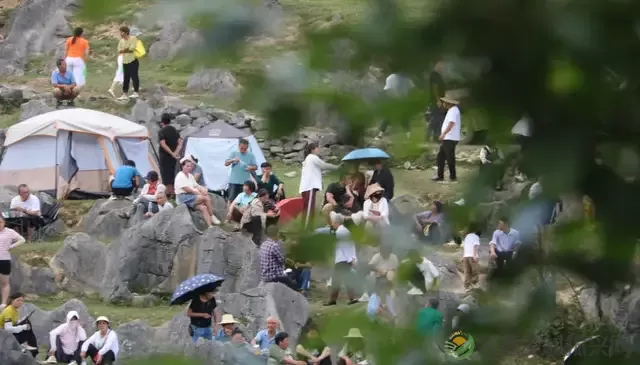 不一样的上马墩 | 民谣音乐 高山露营 这里风光最太平(图3) 不一样的上马墩 | 民谣音乐 高山露营 这里风光最太平(图3)