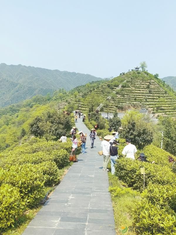 “米、酒、奶、茶”引客来——工业旅游“火出圈”的常德密码