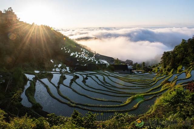 “三农”专家：湖南乡村振兴面临四大挑战