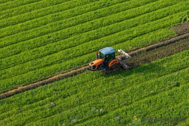 “三农”专家:湖南乡村振兴面临四大挑战(图3) “三农”专家:湖南乡村振兴面临四大挑战(图3)