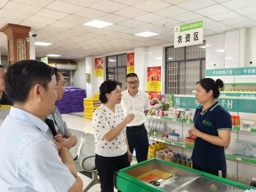 市供销社调研澧县、武陵区供销社综合改革重点工作推进情况