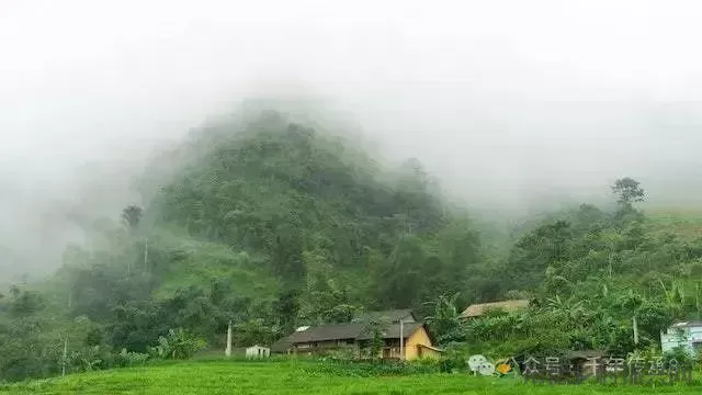 湖南米粉第一城:常德,何以叫板全湖南?(图12) 湖南米粉第一城:常德,何以叫板全湖南?(图12)