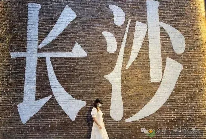 湖南米粉第一城:常德,何以叫板全湖南?(图17) 湖南米粉第一城:常德,何以叫板全湖南?(图17)