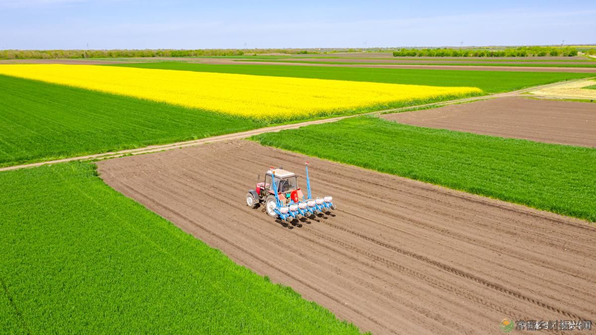 农业农村改革方向再次明确？2月起，统一安排三项政策，村村涉及(图2)