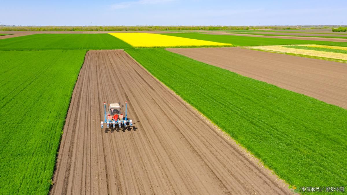 农业农村改革方向再次明确？2月起，统一安排三项政策，村村涉及(图3)