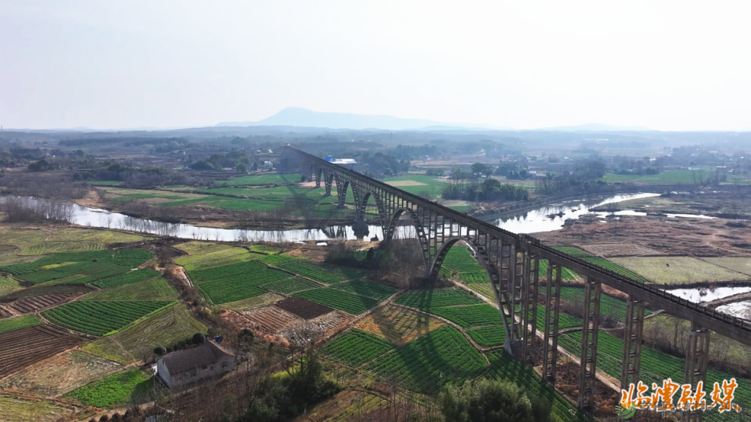 临澧新增一文化广场,你打卡了吗?还有短视频大赛正在继续......(图5) 图片