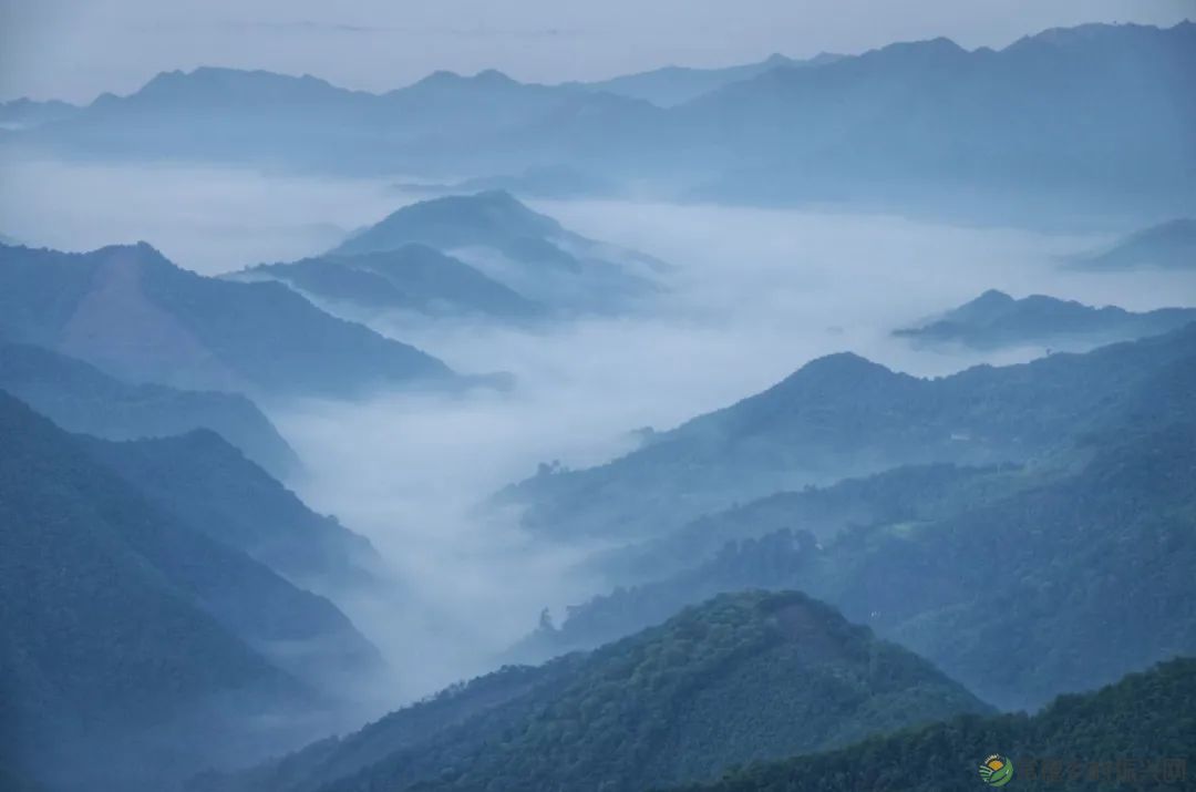 这里是沙坪 N次爱上它的理由(图2) 图片