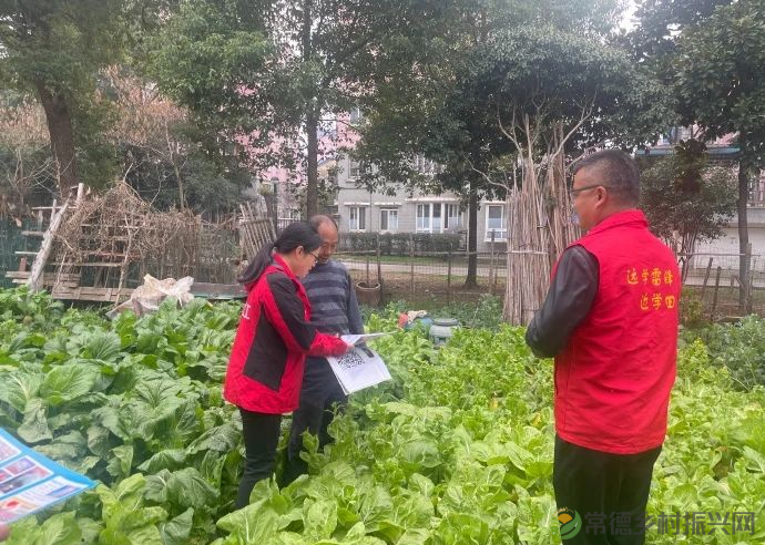 武陵：禁种铲毒正当时