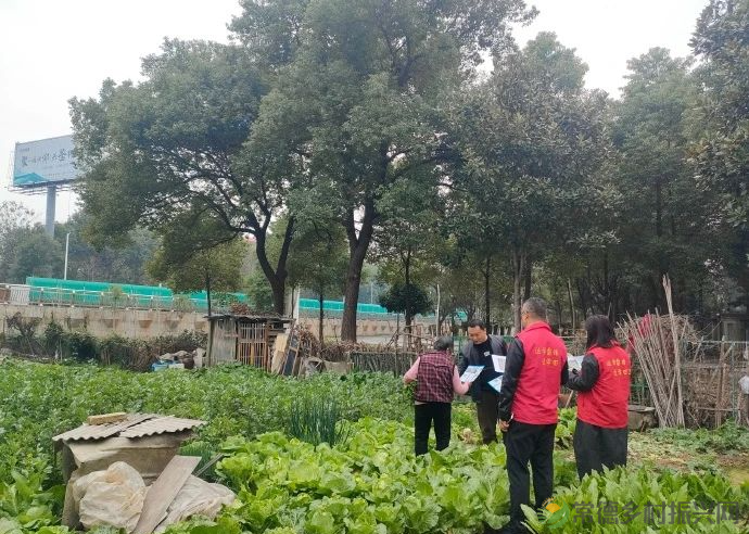 武陵:禁种铲毒正当时(图3) 图片