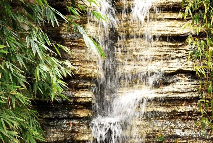 10年前我们一起走过的桃花源(图2) 图片