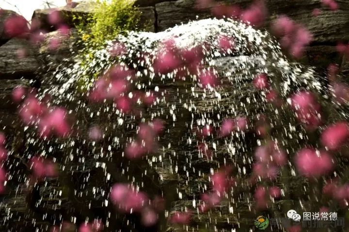 10年前我们一起走过的桃花源(图3) 图片